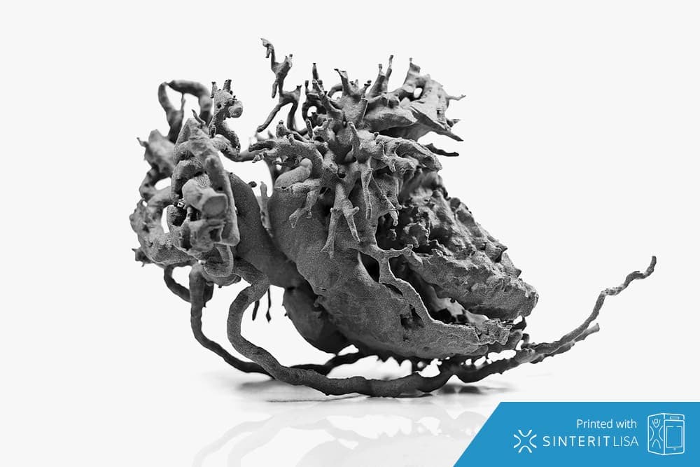 SINTERIT PA12 Smooth V2 Fresh Powder 6 kg - 3D Material-Shop