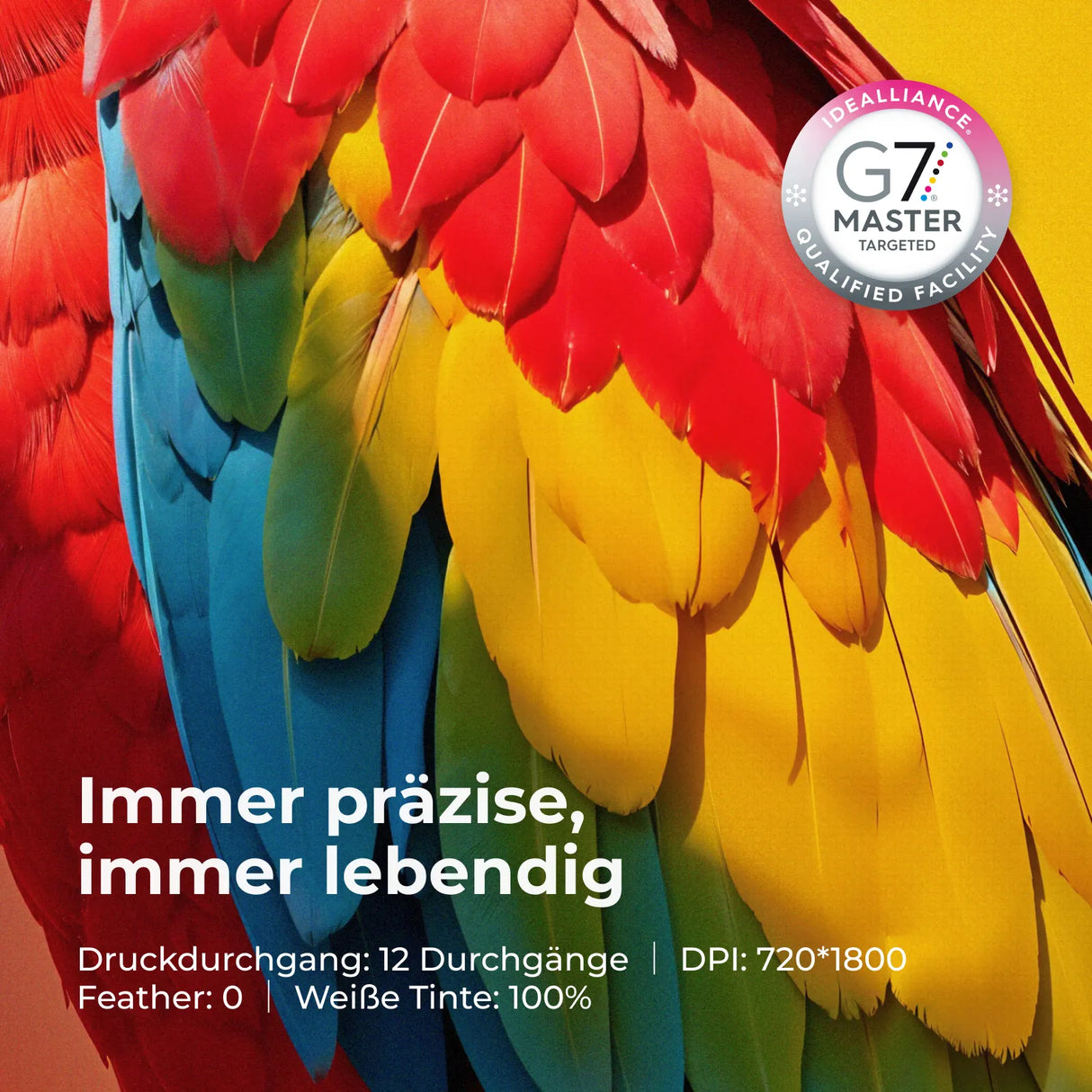 xTool Apparel Printer One-Click-DTF-Drucker - [3D Material-Shop]